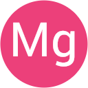 Mg Nguyen profile picture
